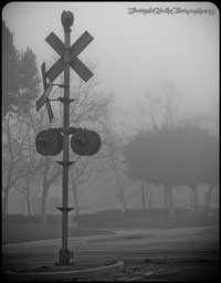 A shot of the signal heads at Valencia that were replaced a few years later. This time before the morning fog had burned off.